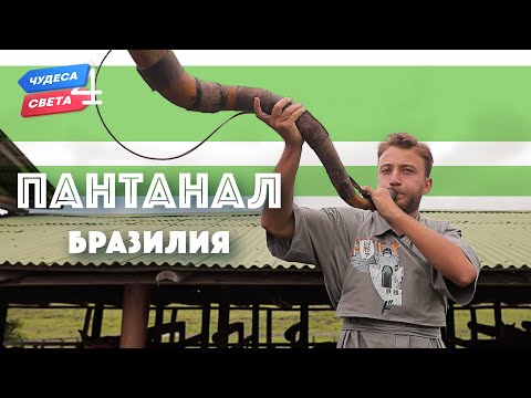 Видео: Пантанал. Бразилия. Орёл и Решка. Чудеса света (eng, rus sub)