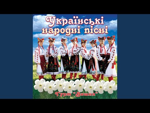 Видео: Дунаю, дунаю