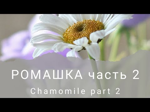 Видео: МК РОМАШКА часть 2 (Video course CHAMOMILE part 2)
