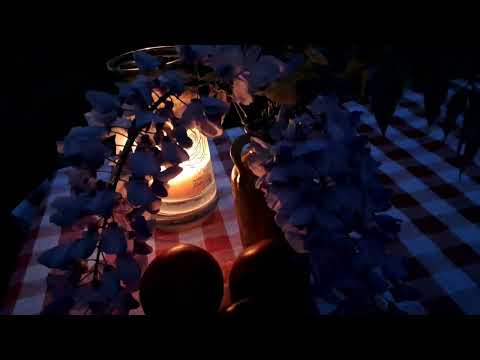 Видео: 466  У НАШЕГО СОСЕДА СОБИРАЕТСЯ БЕСЕДА