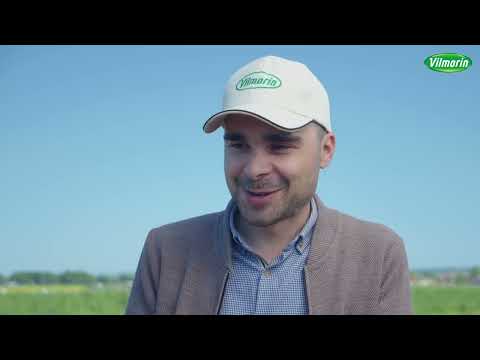 Видео: Брокколи «Корос» – экономика в плюсе!