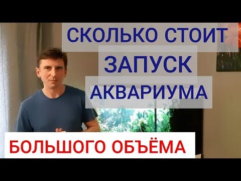 Видео: Сколько стоит запуск аквариума большого объема. Аквариум Juwel 450л. Часть 19. Цена вопроса.