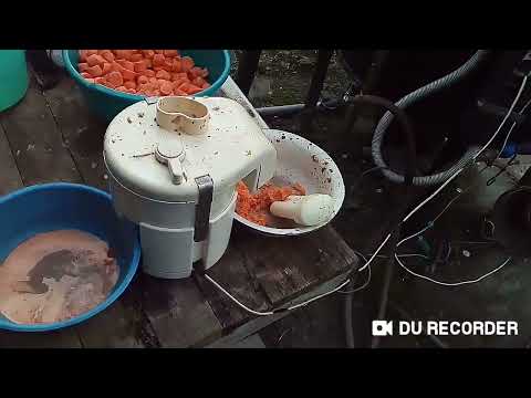 Видео: Соковыжималка Журавинка-2. pH морковного сока.