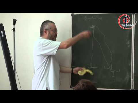 Видео: А.Х. Шень "Теория алгоритмов и основания теории вероятностей" 23.03.2013