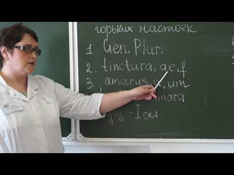 Видео: Латинский язык. Имя прилагательное, прилагательное 1 гр. Согласованное определение.