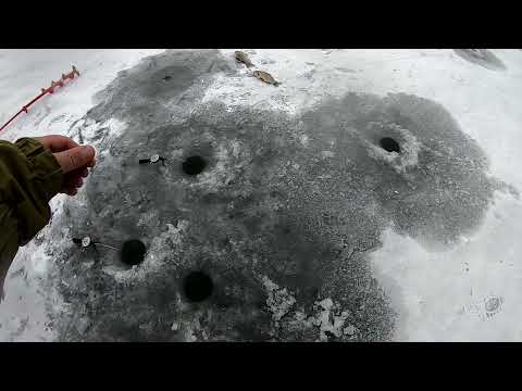 Видео: ЛОВЛЯ КАРАСЯ ЗИМОЙ НА МОРМЫШКУ