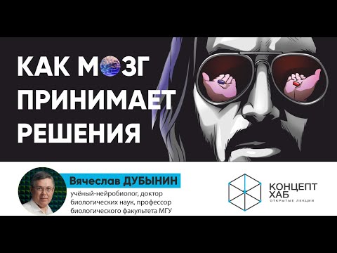 Видео: КонцептХаб. Открытые лекции. Вячеслав Дубынин «Как мозг принимает решения»