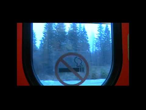 Видео: ШУМНЫЕ И УГРОЖАЮЩИЕ ВЫХОДКИ - НА СЕВЕР (КАК Я ДОБРАЛСЯ ДО БЕЛОГО МОРЯ)