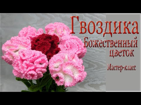 Видео: Гвоздика/Диантус-божественный цветок/Мастер-класс/Dianthus/English Pattern in Description