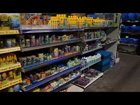 Видео: Гуляем по магазину в Польше. Красивый инвентарь для дома. 