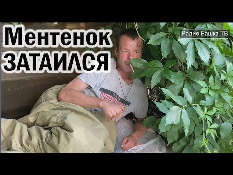 Видео: РадиоБашка Менделя и МEHTЁH0K / Жили БЫЛИ / Павел Васильевич