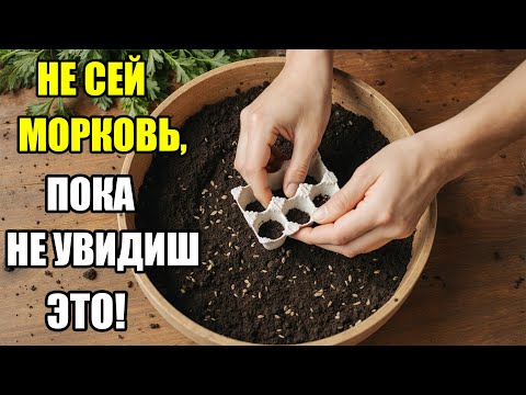 Видео: НЕ СЕЙ МОРКОВЬ, ПОКА НЕ УВИДИШ ЭТО! ПРОСТОЙ ТРЮК С КОРОБКОЙ, КОТОРЫЙ ПОРАЗИЛ ВСЕХ!