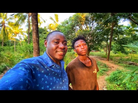 Видео: Как он зарабатывает на жизнь, собирая пальмовое вино в прибрежной деревне!