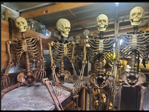 Видео: Учебное пособие по старению 5-футового скелета