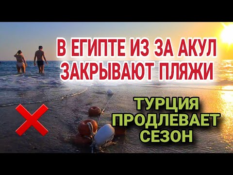 Видео: НАШЕСТВИЕ АКУЛ НА КУРОРТЫ. ТУРЦИЯ ПРОДЛЕВАЕТ СЕЗОН.