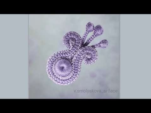 Видео: Бутон с тычинками