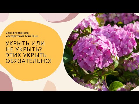 Видео: Укрыть или не укрыть? ЭТИХ укрыть обязательно...