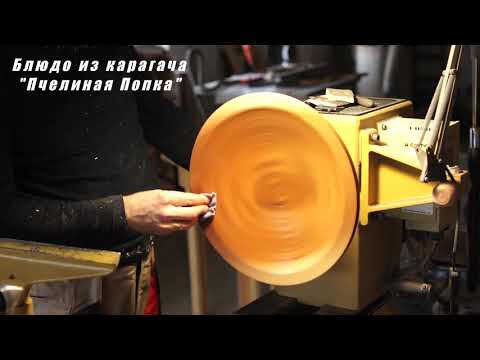 Видео: Большое и необычное блюдо из карагача.
