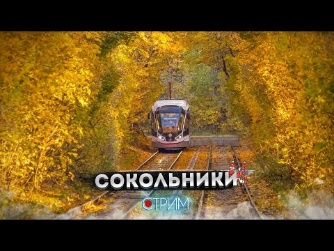 Видео: Сокольники – СТРИМ
