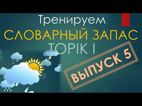 Видео: Тренажер по словарю TOPIK I. Выпуск 5/20. Погода в карточках.