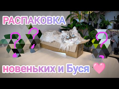 Видео: РАСПАКОВКА новых растений 🫣🔥/долгожданная НОВИНКА 😱 и мини пересадка/ очень быстрая доставка😲