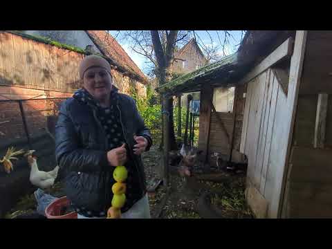 Видео: Прислушалась к народу приобрела тележку 😂 Яблочные бусы курам.