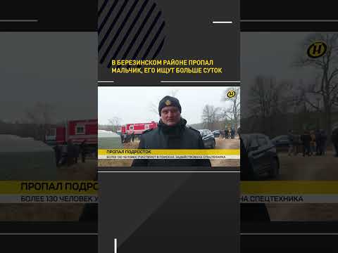Видео: Ищут милиция и волонтеры: в Березинском районе пропал подросток