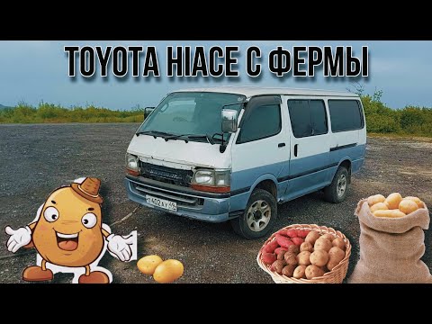 Видео: Картофельный Toyota Hiace 2004 года с фермы