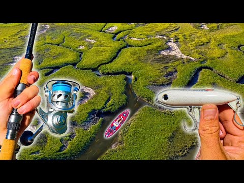 Видео: Я НАШЕЛ САМУЮ МАЛЕНЬКУЮ РЕЧКУ ВО ФЛОРИДЕ, ПОЛНУЮ КАРЕЛЬЮ!