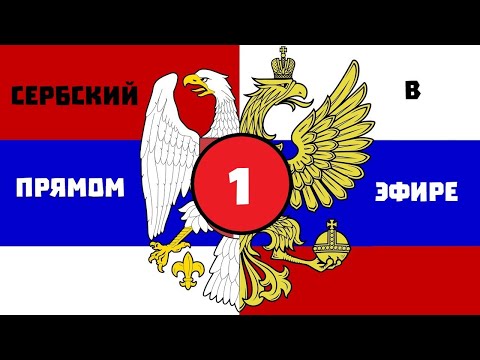 Видео: 1. Поймётъ ли русскій сербскій? (Сербскій языкъ въ прямомъ эфирѣ)