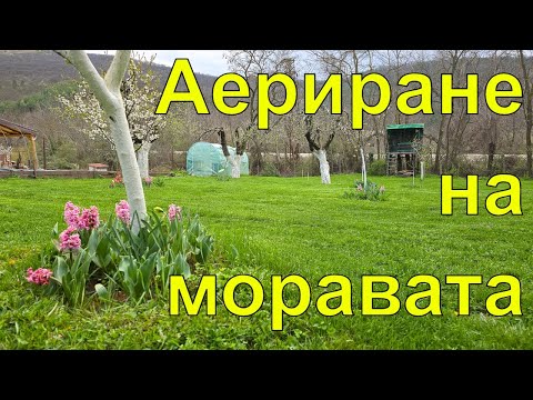 Видео: Как да поддържаме тревата? Пролетна грижа за моравата 🌿