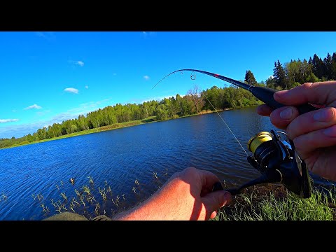 Видео: ИСКАЛ ЦВЕТ ПРИМАНКИ И НАШЕЛ!  Ловля щуки весной! рыбалка на спиннинг