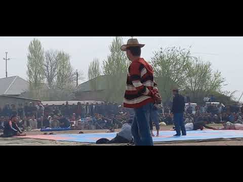 Видео: Наврӯз 2023с гӯштин Роғ[2]