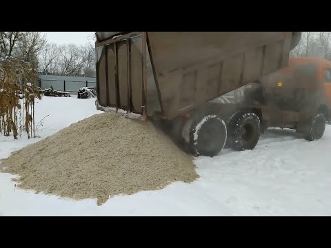 Видео: Купил свежий жом.