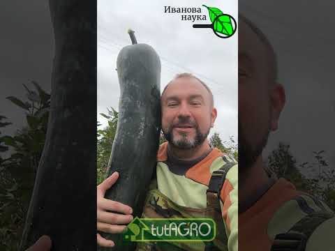 Видео: ЭТИ РАБОТЫ НИКОМУ НЕ НУЖНЫ! Лишние работы в саду осенью. Не занимайтесь ерундой - поберегите силы!