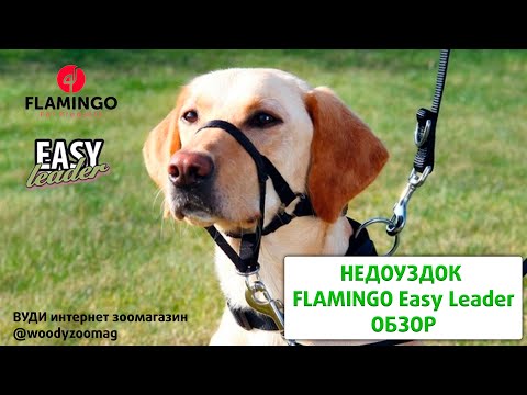 Видео: Намордник (халти, недоуздок) Flamingo Easy Leader (Фламинго Изи лидер)