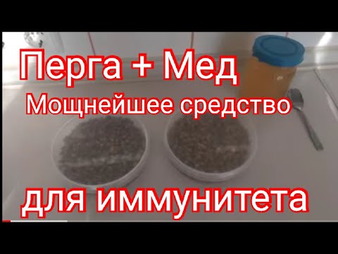 Видео: 🔥Перга с медом 🍯 Мощнейшее средство для иммунитета   Как принимать???