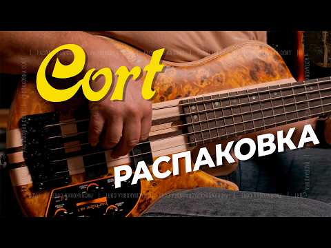 Видео: Тест-драйв флагманских басов Cort. Распаковка новой поставки | Гитарный Клуб