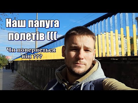 Видео: Опеньки в дворі || Гриби рижики || засипаємо старий погреб || розпаковка замовлення@САВАРЮТИКИ