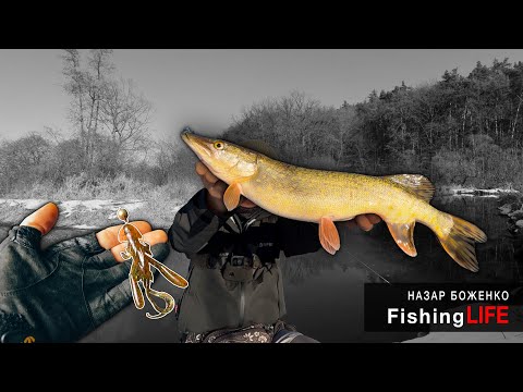 Видео: Ловив Окуня На Ультралайт, А Клюнула ВОНА - Зимовий Спінінг 2025