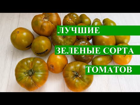 Видео: ТОП-7 ЛУЧШИХ ЗЕЛЕНЫХ сортов ТОМАТОВ, сладкие и вкусные зеленые помидоры, сезон 2021 года