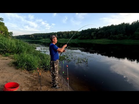 Видео: Западная Двина.Daugava.Фидер.На Рыбалку, для души!!!