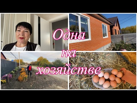Видео: 711ч🏡03.11.25-Красота к ДР//Еще кур хочу//И клубники маловато//Тюльпаны//Розы//Свекла//