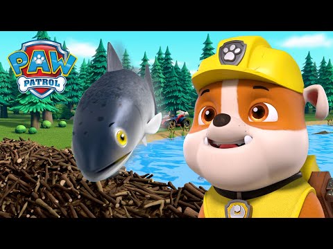 Видео: Кученца помагат на рибките да преодолеят язовира Бийвър! - PAW Patrol Bulgarian - карикатури за деца