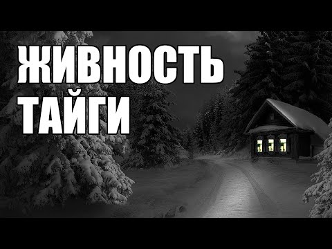 Видео: Страшные истории. Живность ТАЙГИ.