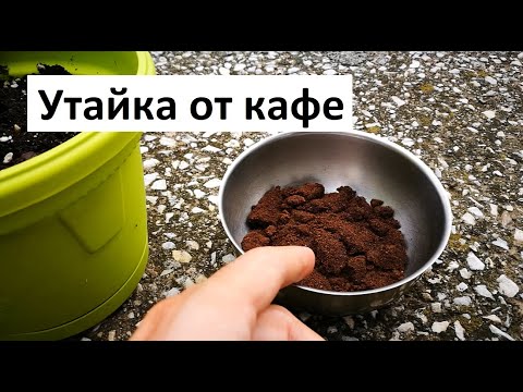 Видео: Утайка от кафе