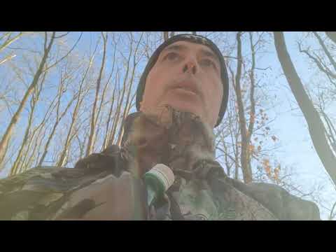 Видео: Начало на сезон 2025