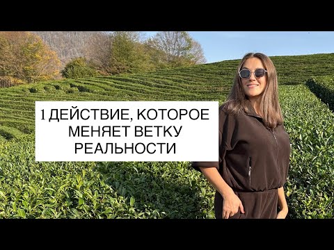 Видео: 1 ДЕЙСТВИЕ, КОТОРОЕ ИЗМЕНИТ ВЕТКУ РЕАЛЬНОСТИ 