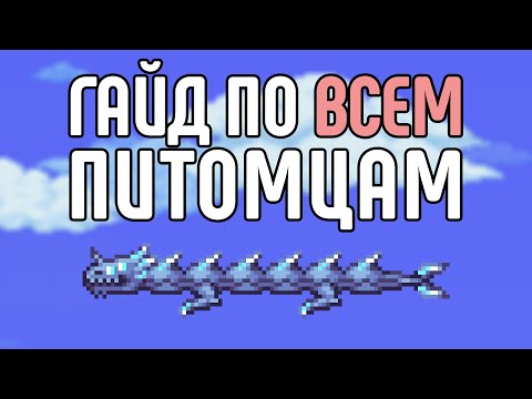 Видео: Гайд по ВСЕМ питомцам | Terraria 1.4