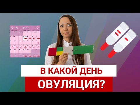 Видео: Как поймать ОВУЛЯЦИЮ? Можно ли рассчитать ОВУЛЯЦИЮ?